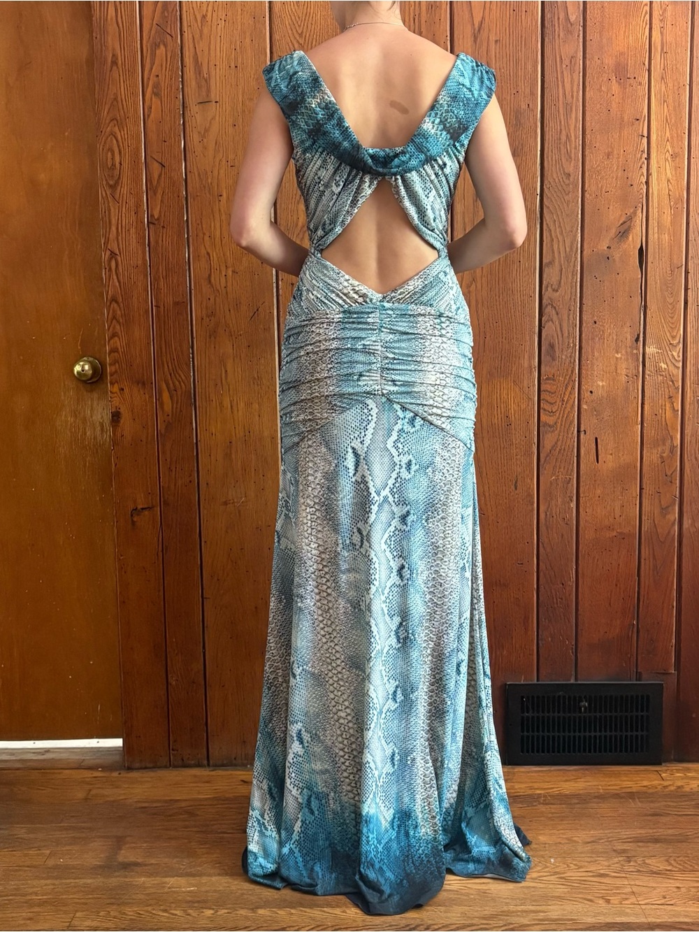 Roberto Cavalli Blue and Teal Snake-Print Evening Dress - Picture 3 of 11